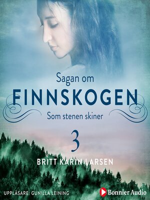 cover image of Som stenen skiner
